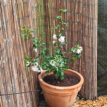 Apartment-seelenblick Zentral Im Tiroler Unterland 아파트 Radfeld